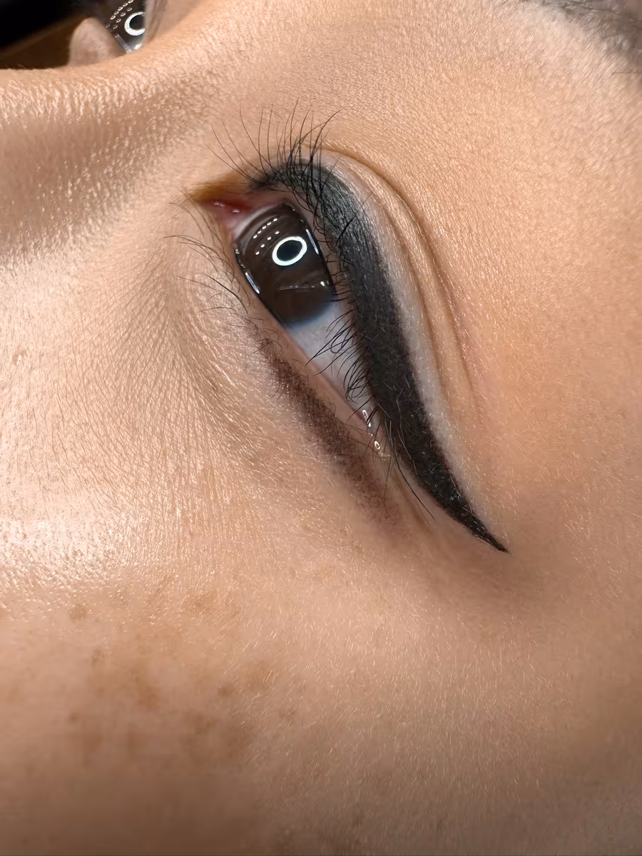 Bottom eyeliner tattoo, a soft smoky lower lash line paired with a winged upper liner